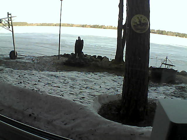 Whiteface Cam Image - Sun, 04/19/2020 7:43am 