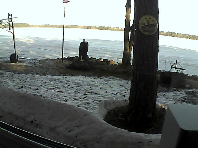 Whiteface Cam Image - Sun, 04/19/2020 8:13am 