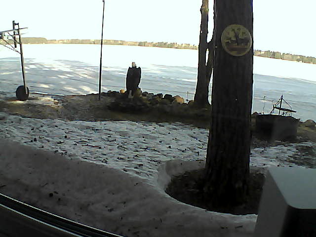 Whiteface Cam Image - Sun, 04/19/2020 8:23am 