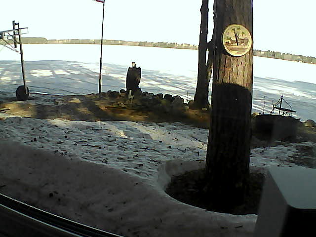 Whiteface Cam Image - Sun, 04/19/2020 8:53am 