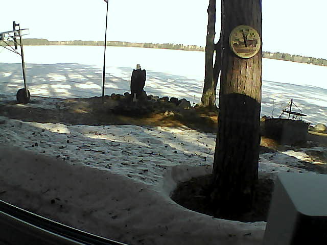 Whiteface Cam Image - Sun, 04/19/2020 9:03am 