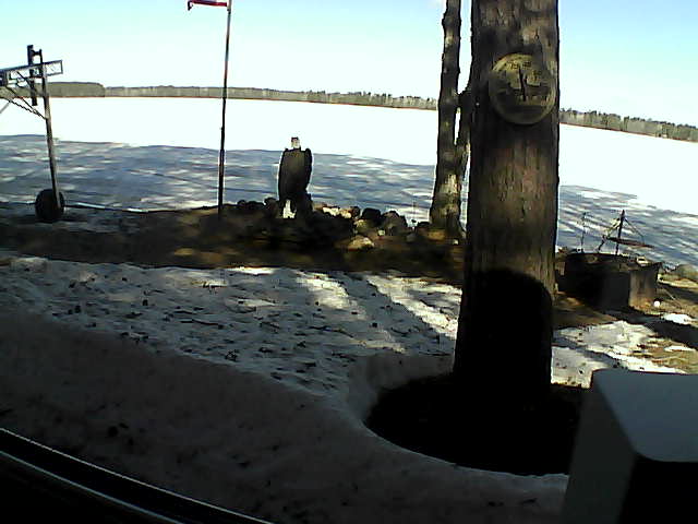 Whiteface Cam Image - Sun, 04/19/2020 9:53am 