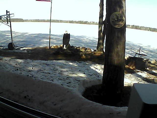 Whiteface Cam Image - Sun, 04/19/2020 10:03am 