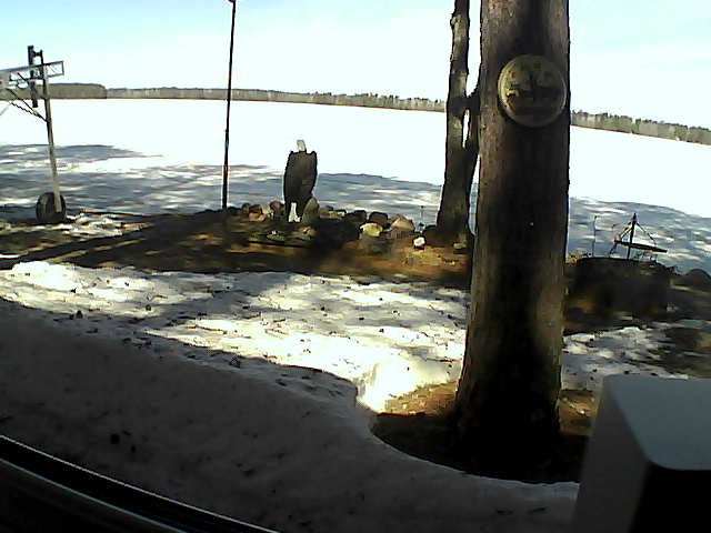 Whiteface Cam Image - Sun, 04/19/2020 11:03am 