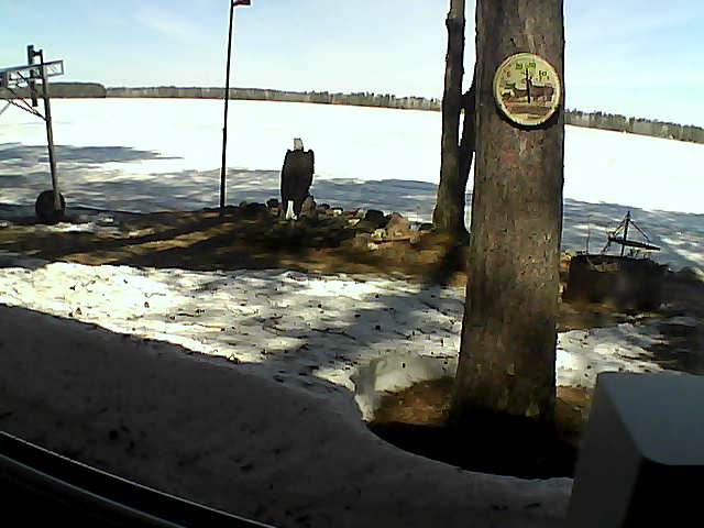 Whiteface Cam Image - Sun, 04/19/2020 11:23am 