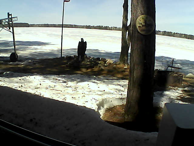 Whiteface Cam Image - Sun, 04/19/2020 11:43am 