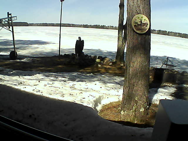 Whiteface Cam Image - Sun, 04/19/2020 11:53am 