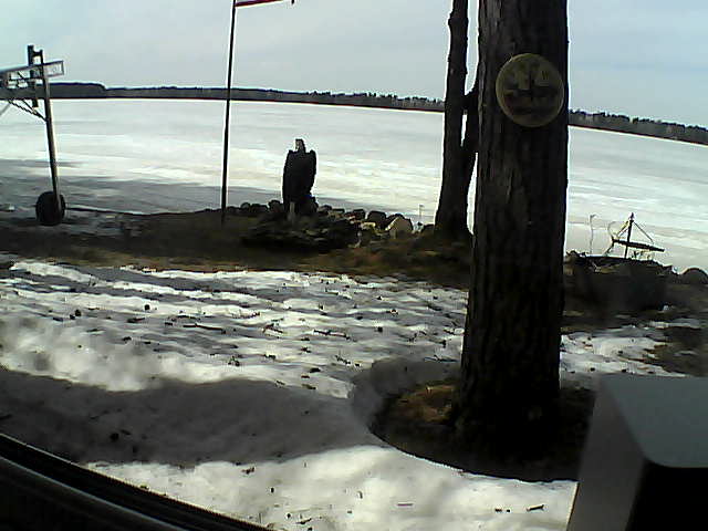 Whiteface Cam Image - Sun, 04/19/2020 2:33pm 