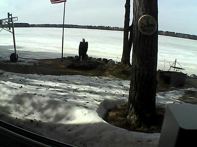 Whiteface Cam Image - Sun, 04/19/2020 2:53pm 