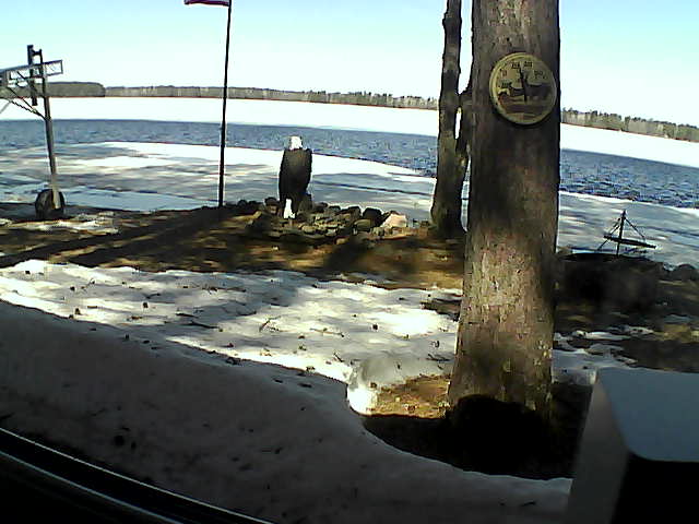 Whiteface Cam Image - Tue, 04/21/2020 11:09am 