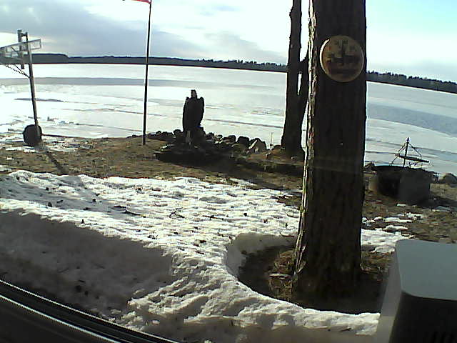 Whiteface Cam Image - Tue, 04/21/2020 6:30pm 