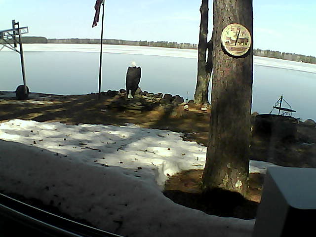 Whiteface Cam Image - Thu, 04/23/2020 11:15am 