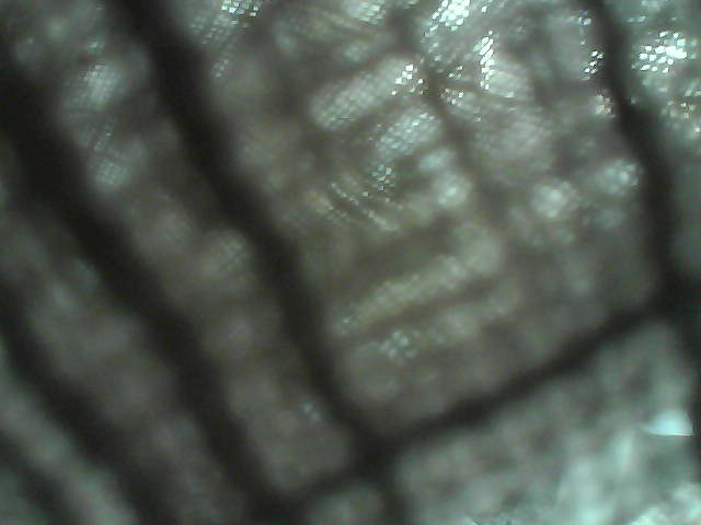 Whiteface Cam Image - Sat, 04/25/2020 6:01am 