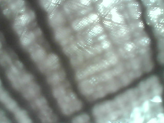 Whiteface Cam Image - Sat, 04/25/2020 6:21am 