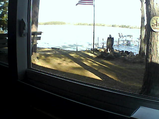 Whiteface Cam Image - Mon, 05/11/2020 8:24am 