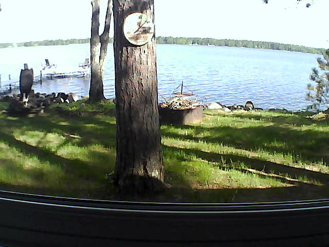 Whiteface Cam Image - Thu, 06/04/2020 9:09am 