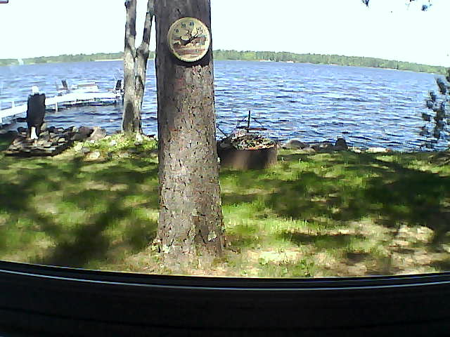 Whiteface Cam Image - Thu, 06/04/2020 11:49am 