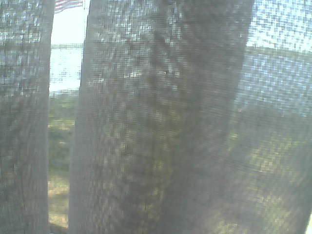 Whiteface Cam Image - Fri, 06/12/2020 12:23pm 