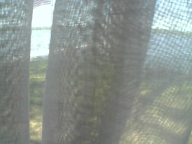 Whiteface Cam Image - Fri, 06/12/2020 12:33pm 