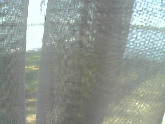 Whiteface Cam Image - Fri, 06/12/2020 12:43pm 