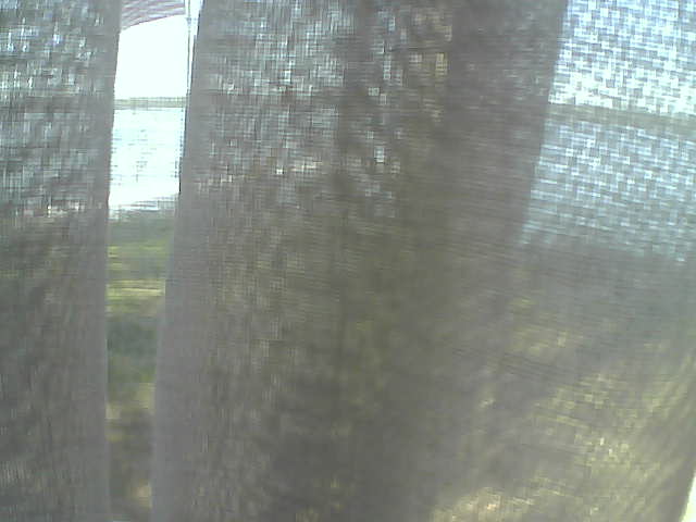 Whiteface Cam Image - Fri, 06/12/2020 12:53pm 