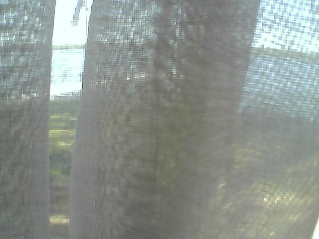 Whiteface Cam Image - Fri, 06/12/2020 1:03pm 