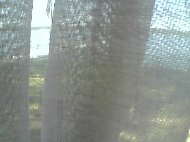 Whiteface Cam Image - Fri, 06/12/2020 1:13pm 