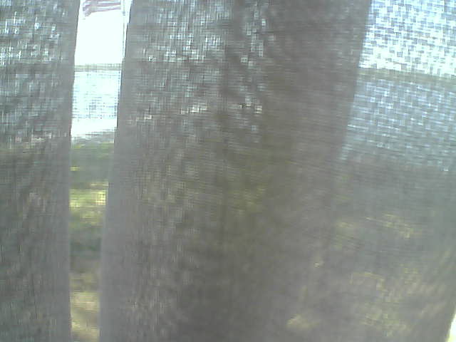 Whiteface Cam Image - Fri, 06/12/2020 1:23pm 