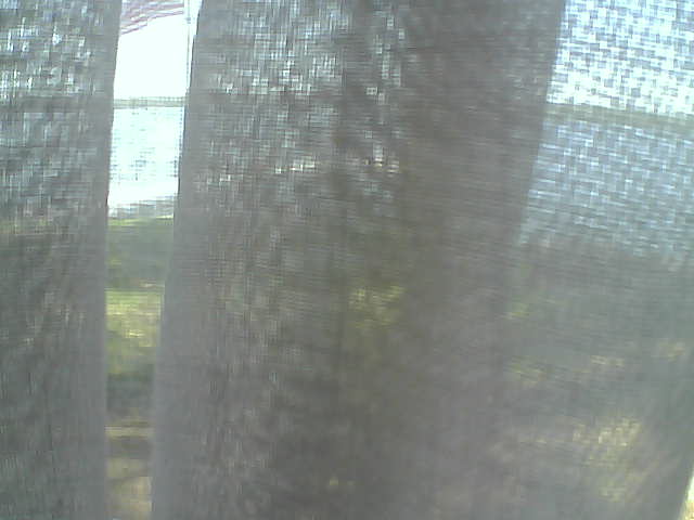 Whiteface Cam Image - Fri, 06/12/2020 1:33pm 