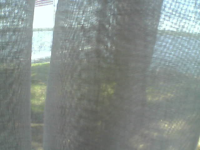 Whiteface Cam Image - Fri, 06/12/2020 1:43pm 