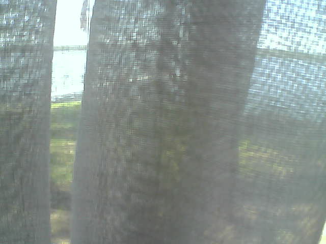 Whiteface Cam Image - Fri, 06/12/2020 1:53pm 