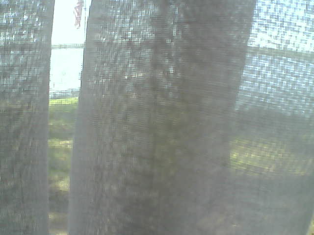 Whiteface Cam Image - Fri, 06/12/2020 2:03pm 