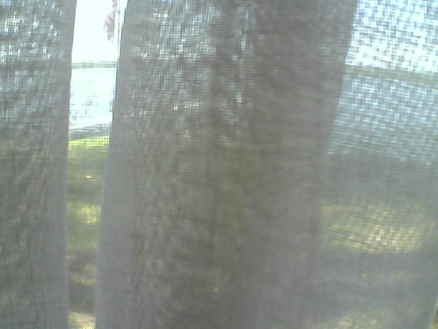 Whiteface Cam Image - Fri, 06/12/2020 2:13pm 