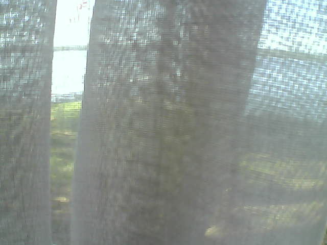 Whiteface Cam Image - Fri, 06/12/2020 2:23pm 