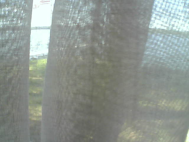 Whiteface Cam Image - Fri, 06/12/2020 2:33pm 