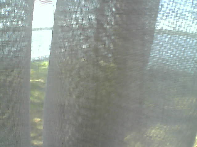 Whiteface Cam Image - Fri, 06/12/2020 2:43pm 