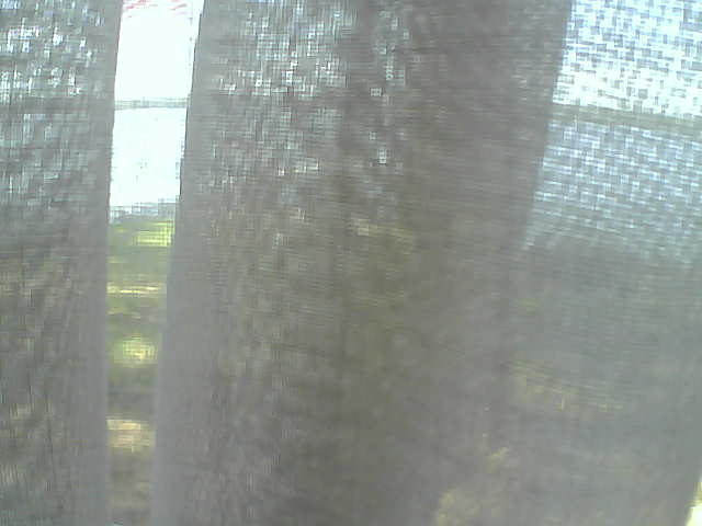 Whiteface Cam Image - Fri, 06/12/2020 2:53pm 