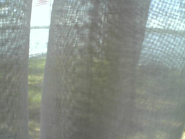 Whiteface Cam Image - Fri, 06/12/2020 3:03pm 