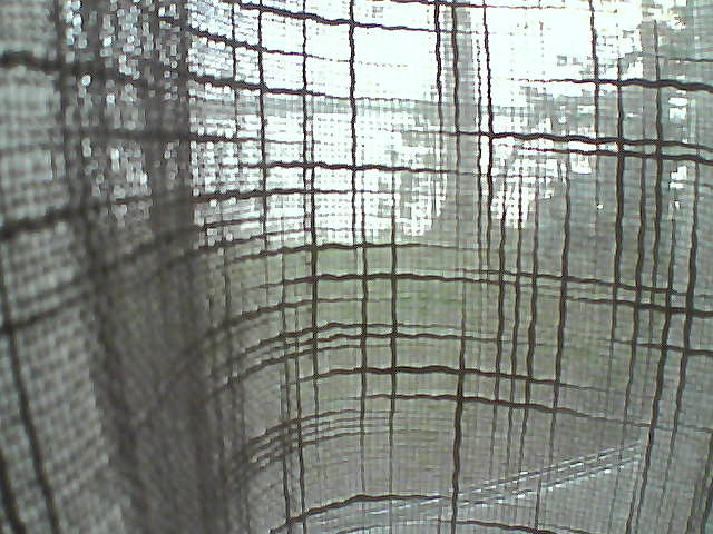 Whiteface Cam Image - Thu, 06/18/2020 5:12am 