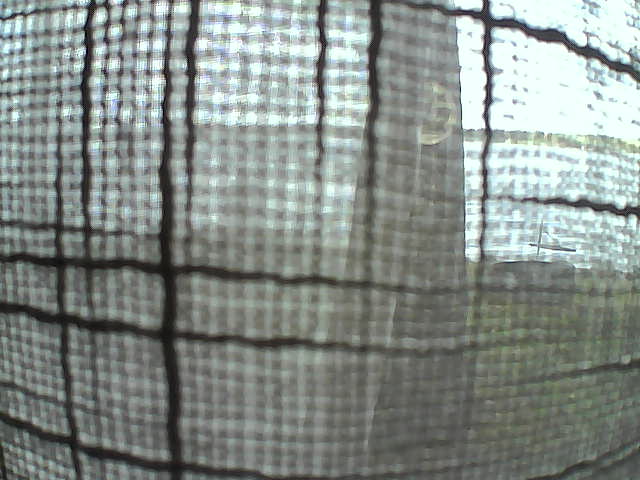 Whiteface Cam Image - Sun, 10/04/2020 12:13pm 