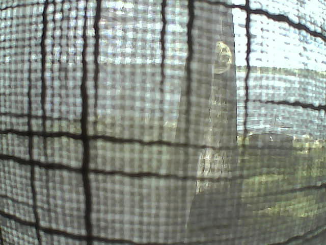 Whiteface Cam Image - Sun, 10/04/2020 1:13pm 
