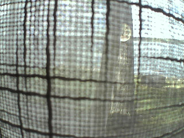 Whiteface Cam Image - Sun, 10/04/2020 1:23pm 