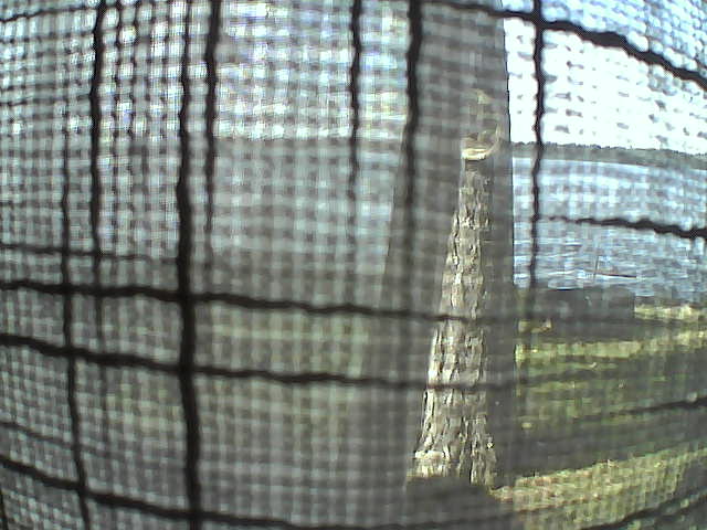 Whiteface Cam Image - Sun, 10/04/2020 2:23pm 