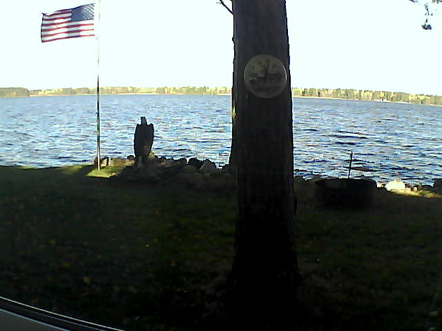 Whiteface Cam Image - Sat, 10/10/2020 9:31am 