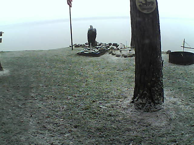 Whiteface Cam Image - Tue, 10/20/2020 3:46pm 