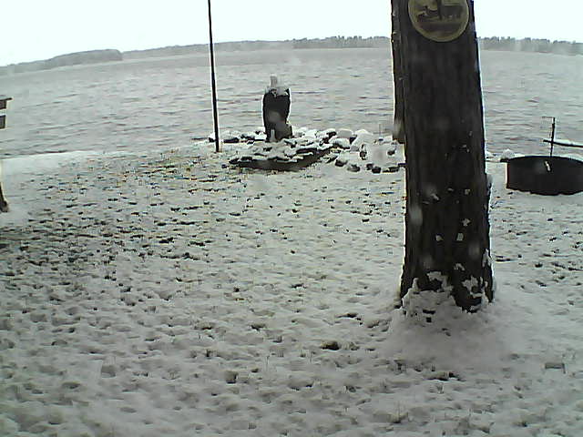 Whiteface Cam Image - Wed, 10/21/2020 11:19am 