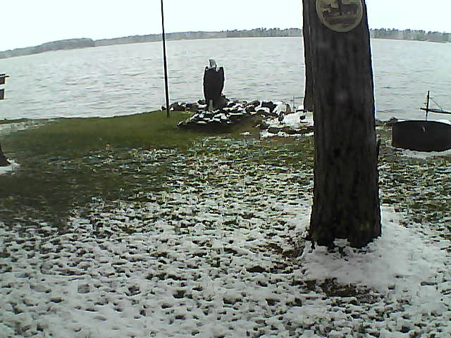 Whiteface Cam Image - Wed, 10/21/2020 3:19pm 