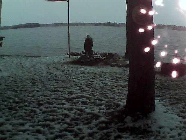 Whiteface Cam Image - Fri, 10/23/2020 7:20am 