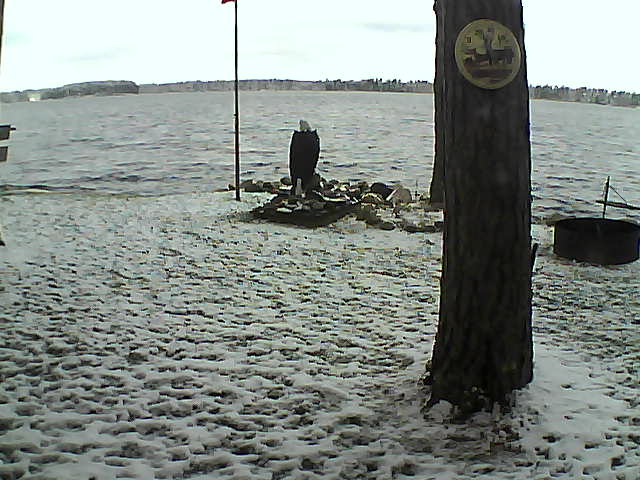 Whiteface Cam Image - Sat, 10/24/2020 10:32am 