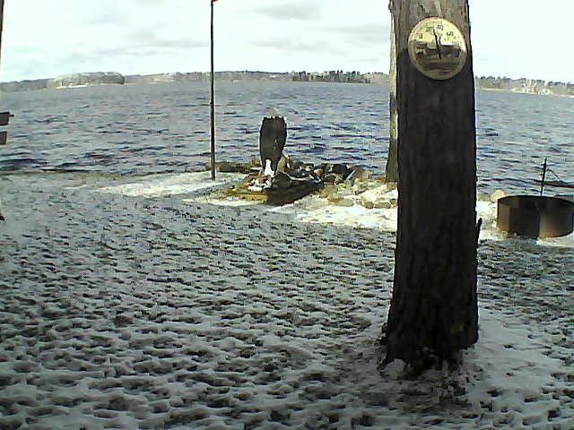 Whiteface Cam Image - Sat, 10/24/2020 11:02am 